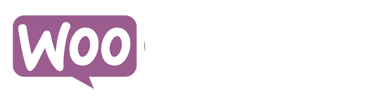 best ecommerce website development in nagpur